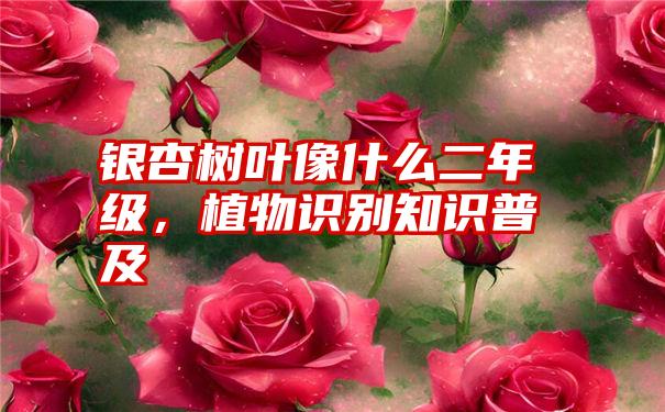 银杏树叶像什么二年级，植物识别知识普及