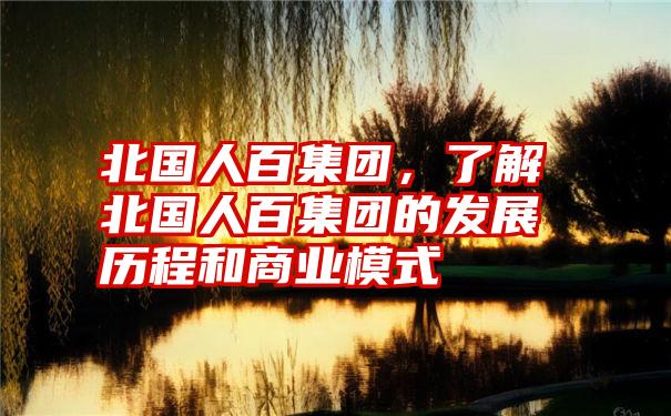 北国人百集团，了解北国人百集团的发展历程和商业模式