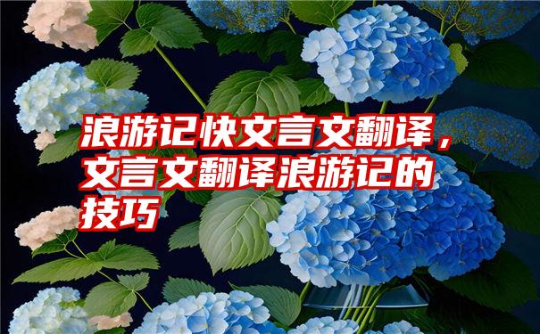 浪游记快文言文翻译，文言文翻译浪游记的技巧