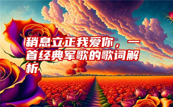 稍息立正我爱你，一首经典军歌的歌词解析