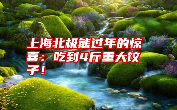 上海北极熊过年的惊喜：吃到4斤重大饺子！