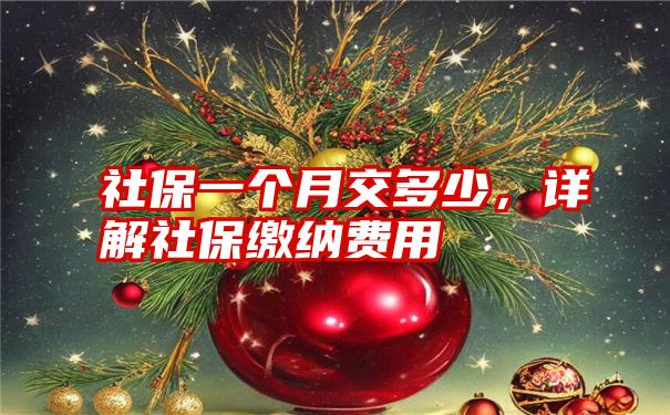 社保一个月交多少，详解社保缴纳费用