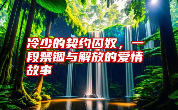 冷少的契约囚奴，一段禁锢与解放的爱情故事