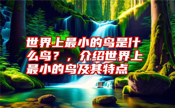 世界上最小的鸟是什么鸟？，介绍世界上最小的鸟及其特点