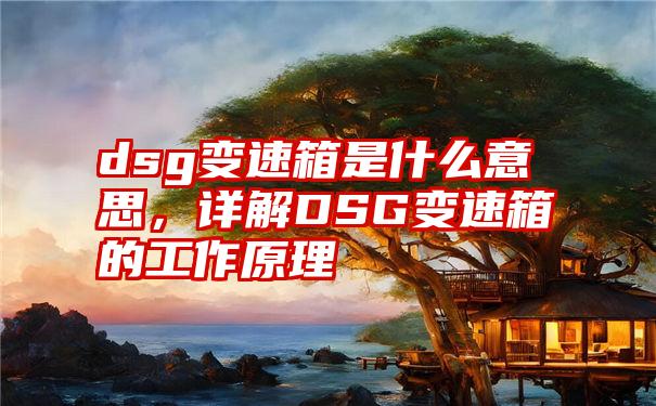 dsg变速箱是什么意思，详解DSG变速箱的工作原理