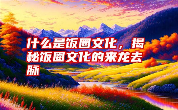 什么是饭圈文化,揭秘饭圈文化的来龙去脉