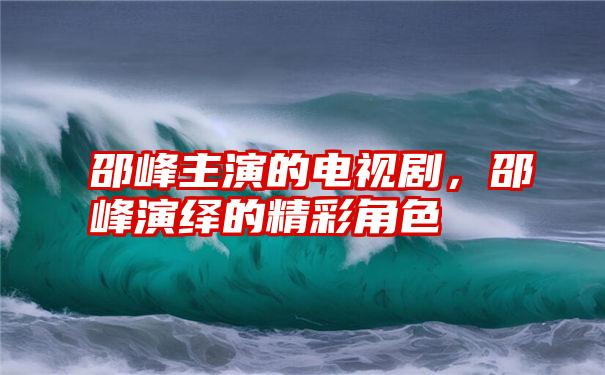 邵峰主演的电视剧，邵峰演绎的精彩角色