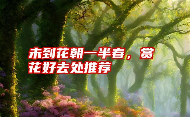 未到花朝一半春，赏花好去处推荐