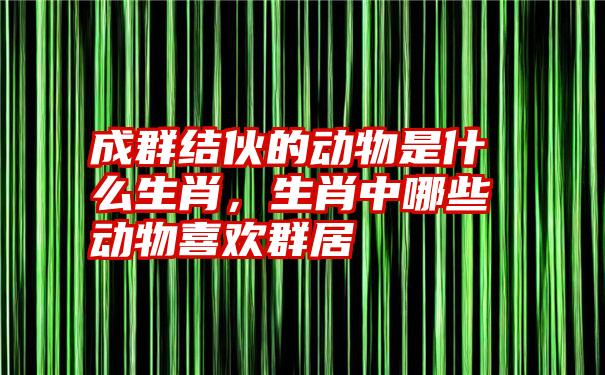 成群结伙的动物是什么生肖，生肖中哪些动物喜欢群居