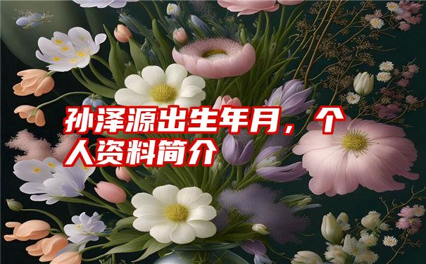 孙泽源出生年月,个人资料简介