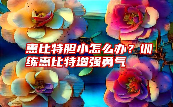 惠比特胆小怎么办？训练惠比特增强勇气