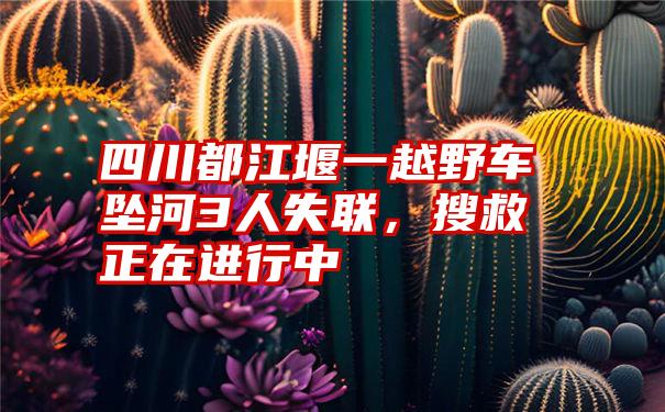 四川都江堰一越野车坠河3人失联，搜救正在进行中