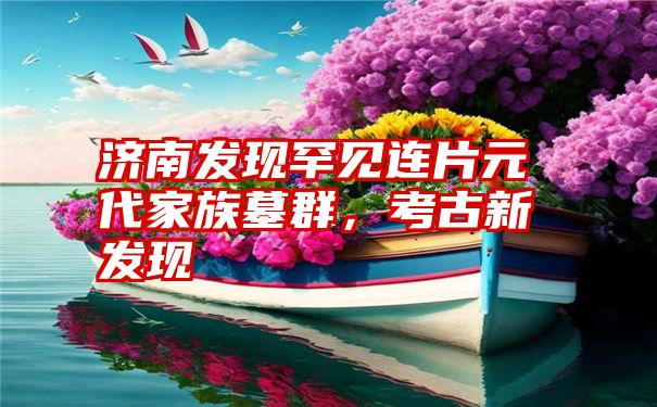 济南发现罕见连片元代家族墓群,考古新发现