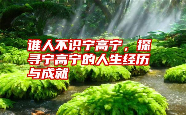 谁人不识宁高宁,探寻宁高宁的人生经历与成就