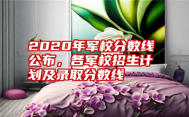 2020年军校分数线公布，各军校招生计划及录取分数线