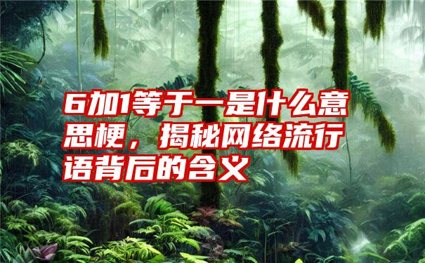 6加1等于一是什么意思梗，揭秘网络流行语背后的含义