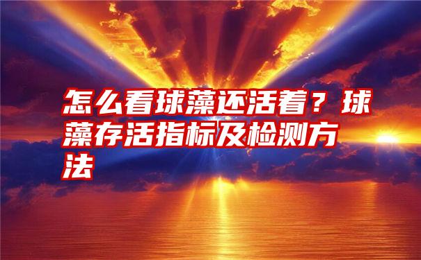 怎么看球藻还活着？球藻存活指标及检测方法