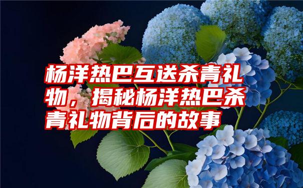 杨洋热巴互送杀青礼物，揭秘杨洋热巴杀青礼物背后的故事