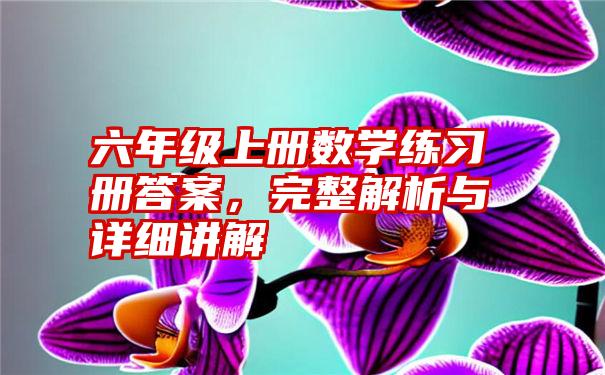 六年级上册数学练习册答案，完整解析与详细讲解