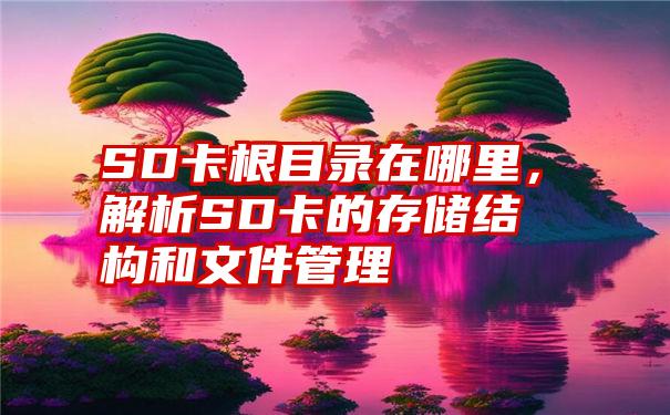 SD卡根目录在哪里，解析SD卡的存储结构和文件管理