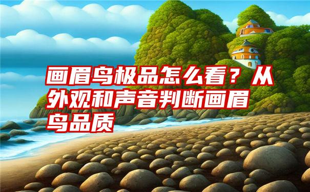 画眉鸟极品怎么看？从外观和声音判断画眉鸟品质