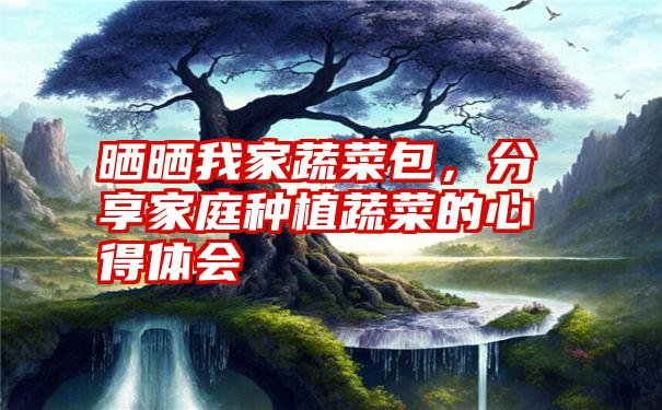 晒晒我家蔬菜包，分享家庭种植蔬菜的心得体会