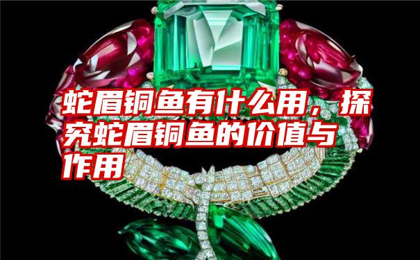 蛇眉铜鱼有什么用,探究蛇眉铜鱼的价值与作用
