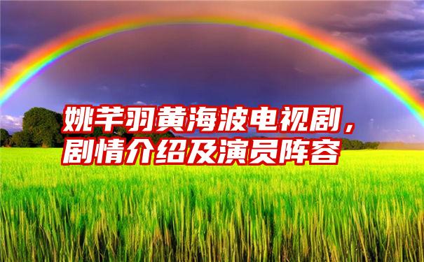 姚芊羽黄海波电视剧,剧情介绍及演员阵容