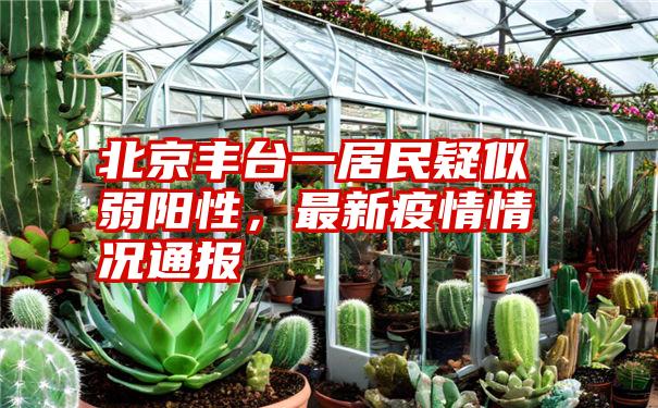 北京丰台一居民疑似弱阳性,最新疫情情况通报