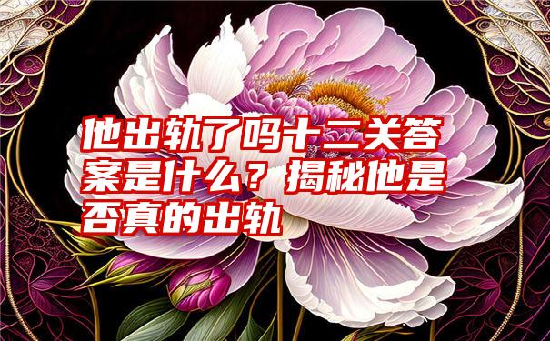 他出轨了吗十二关答案是什么？揭秘他是否真的出轨