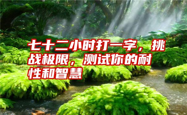 七十二小时打一字,挑战极限,测试你的耐性和智慧