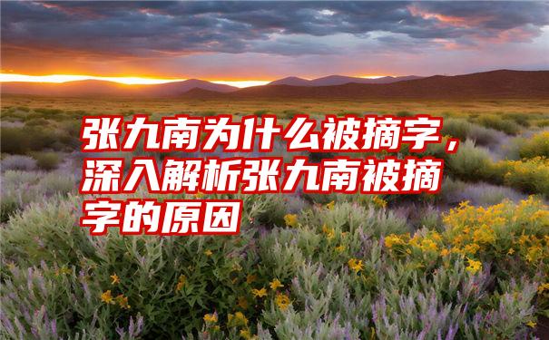 张九南为什么被摘字,深入解析张九南被摘字的原因