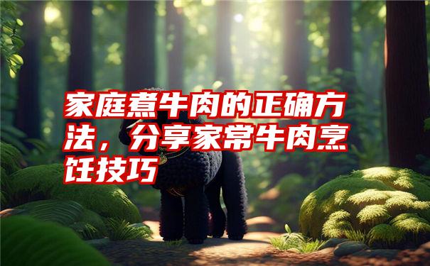 家庭煮牛肉的正确方法,分享家常牛肉烹饪技巧