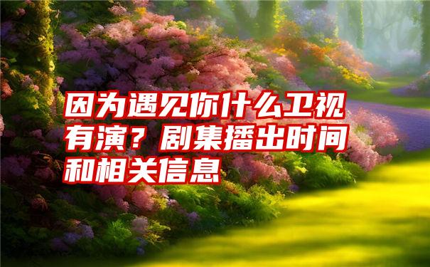 因为遇见你什么卫视有演？剧集播出时间和相关信息