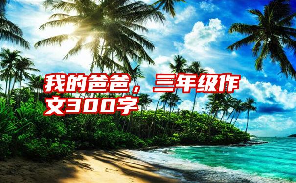 我的爸爸,三年级作文300字
