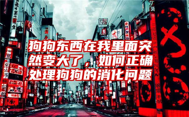 狗狗东西在我里面突然变大了，如何正确处理狗狗的消化问题