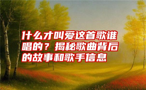 什么才叫爱这首歌谁唱的？揭秘歌曲背后的故事和歌手信息