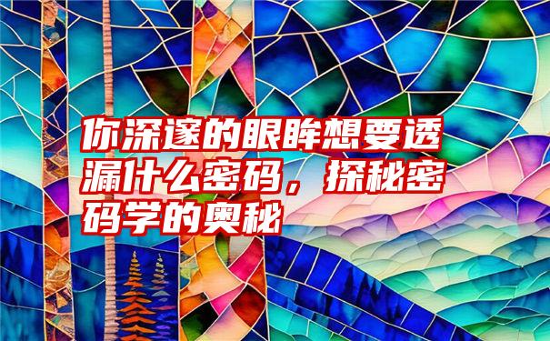 你深邃的眼眸想要透漏什么密码，探秘密码学的奥秘