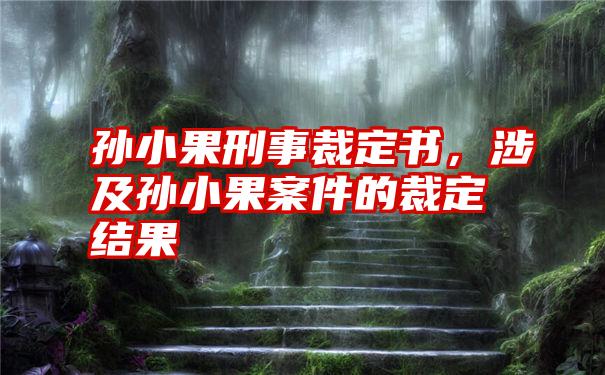 孙小果刑事裁定书，涉及孙小果案件的裁定结果