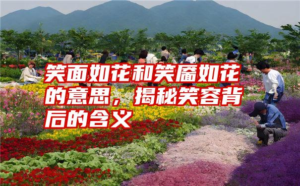 笑面如花和笑靥如花的意思，揭秘笑容背后的含义