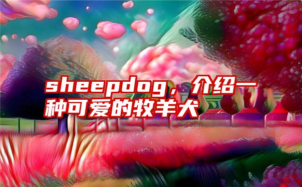 sheepdog，介绍一种可爱的牧羊犬