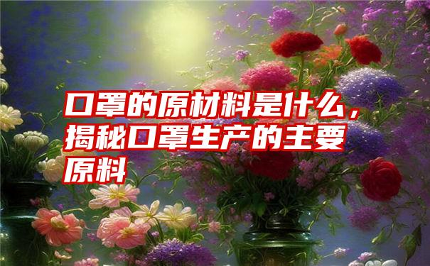 口罩的原材料是什么，揭秘口罩生产的主要原料