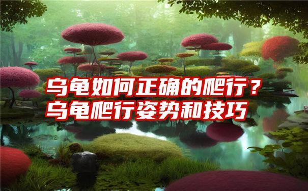 乌龟如何正确的爬行？乌龟爬行姿势和技巧