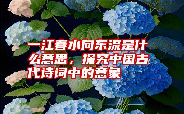 一江春水向东流是什么意思，探究中国古代诗词中的意象