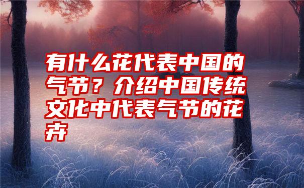 有什么花代表中国的气节？介绍中国传统文化中代表气节的花卉