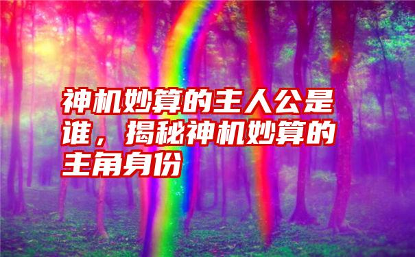 神机妙算的主人公是谁，揭秘神机妙算的主角身份