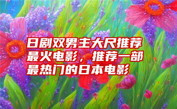 日剧双男主大尺推荐最火电影，推荐一部最热门的日本电影