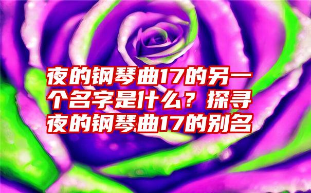 夜的钢琴曲17的另一个名字是什么？探寻夜的钢琴曲17的别名