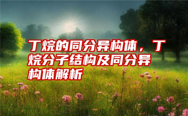 丁烷的同分异构体，丁烷分子结构及同分异构体解析