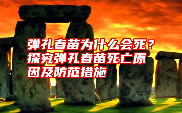 弹孔春苗为什么会死？探究弹孔春苗死亡原因及防范措施